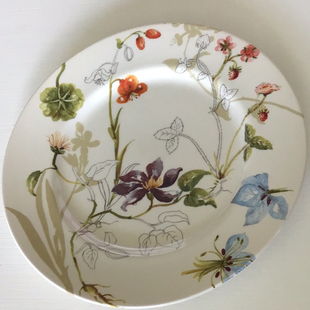 Royal Stafford Sketchbook 11” Dinner Plate!